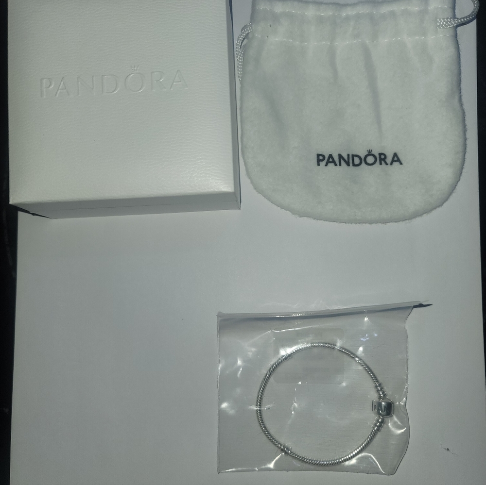 Pandora Moments Snake Chain Bracelet
